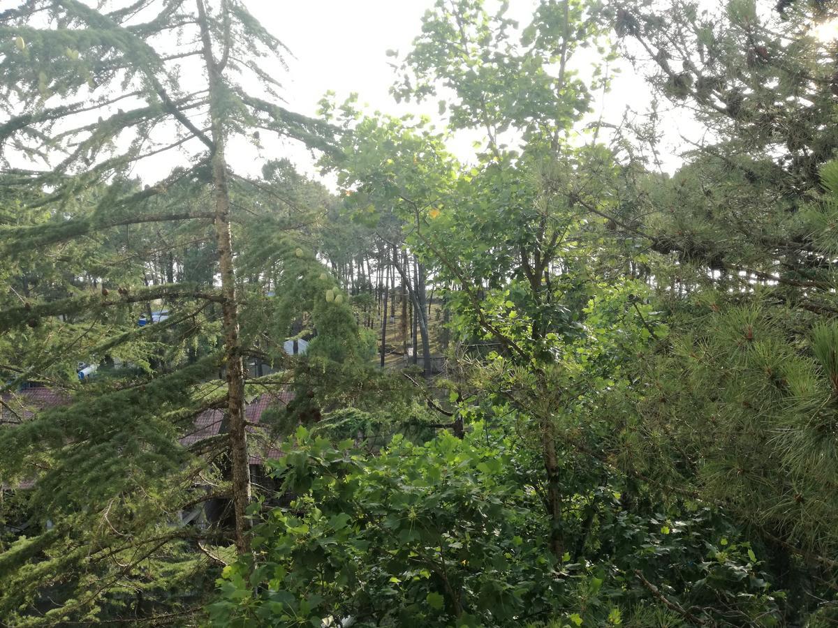 Studio Apartment With Great View Ureki Exteriör bild