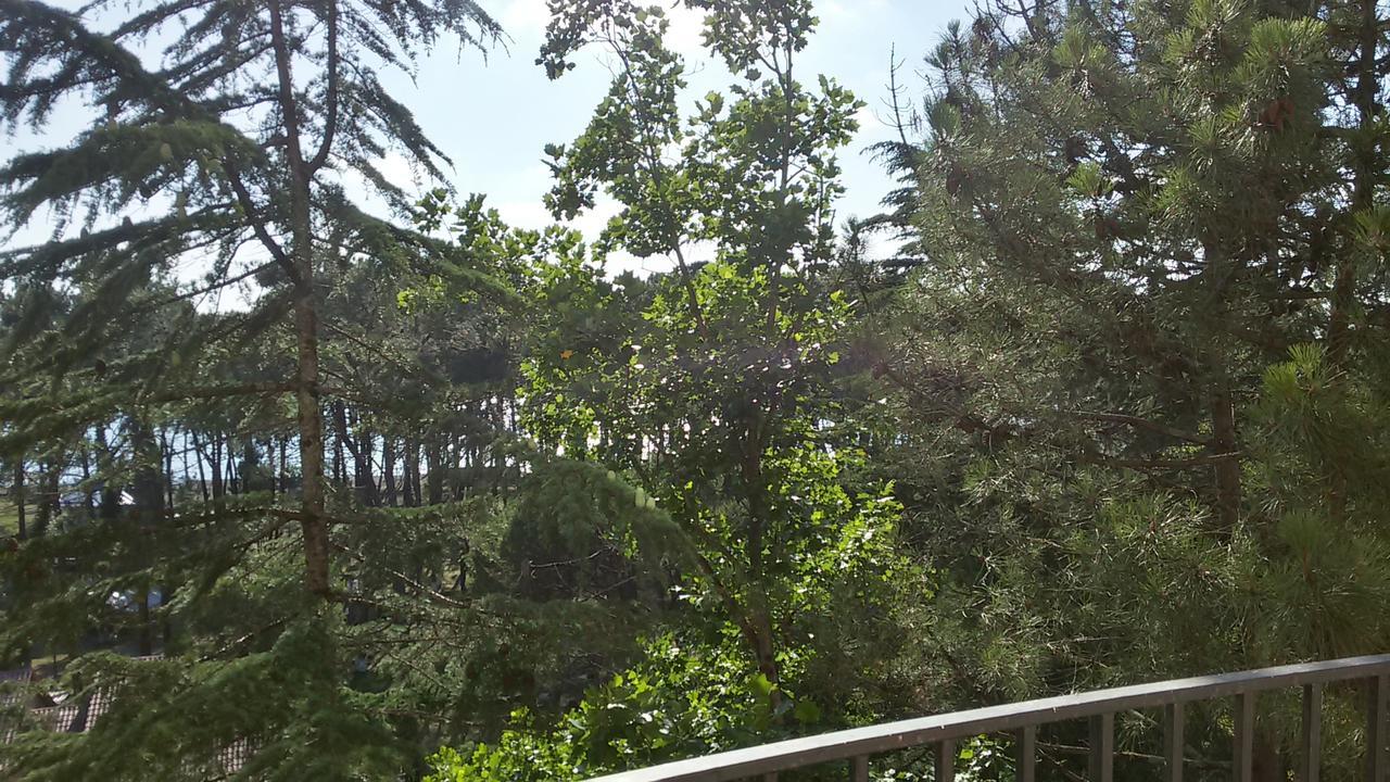Studio Apartment With Great View Ureki Exteriör bild